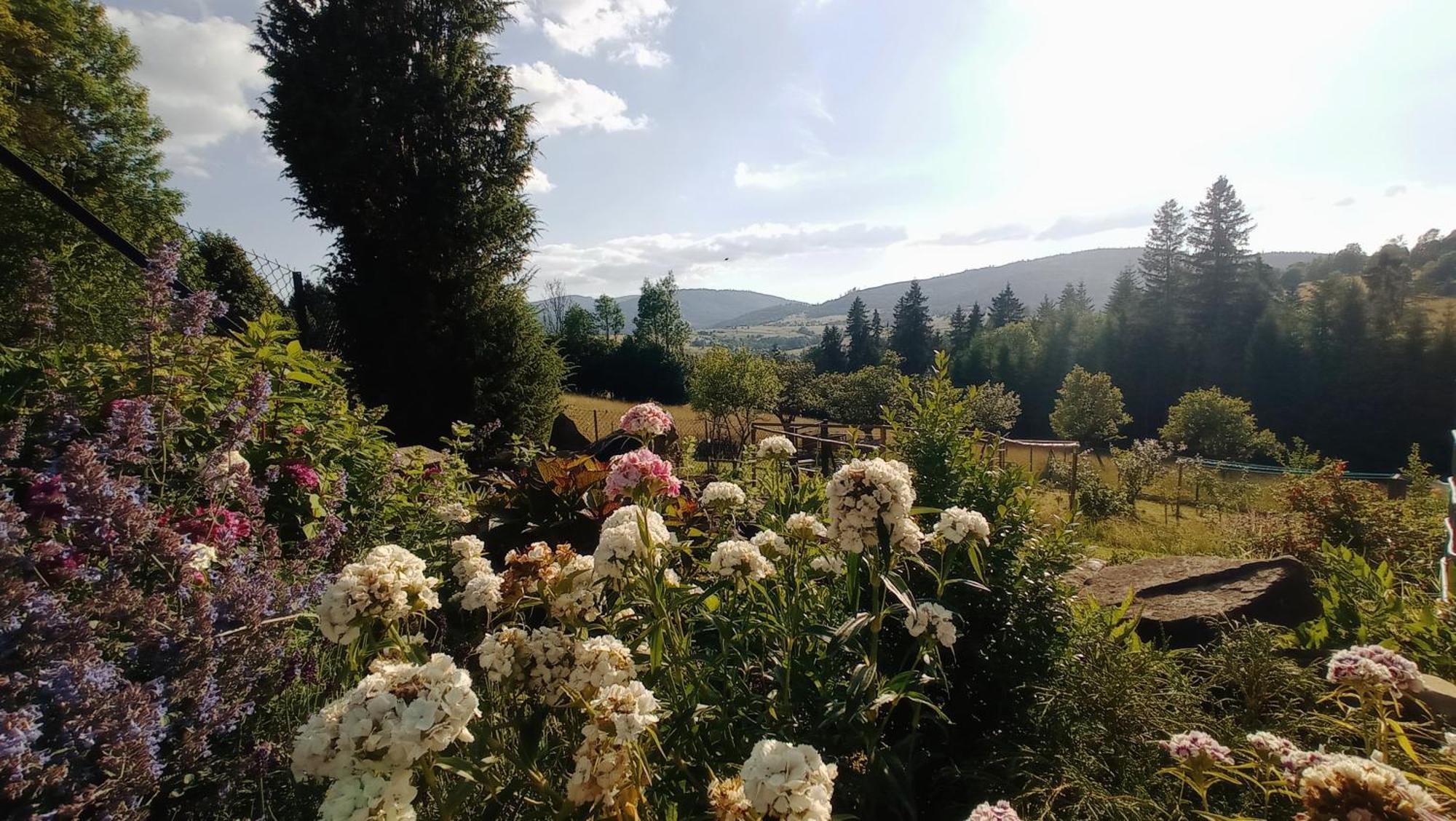 Agroturystyka "Na Polanie" Rajcza Buitenkant foto